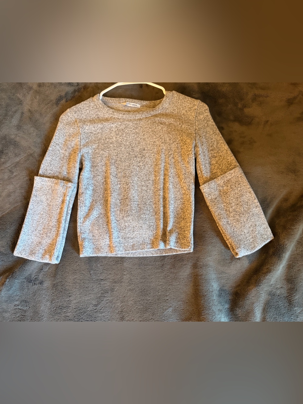 Zara Long Sleeve Crop Top